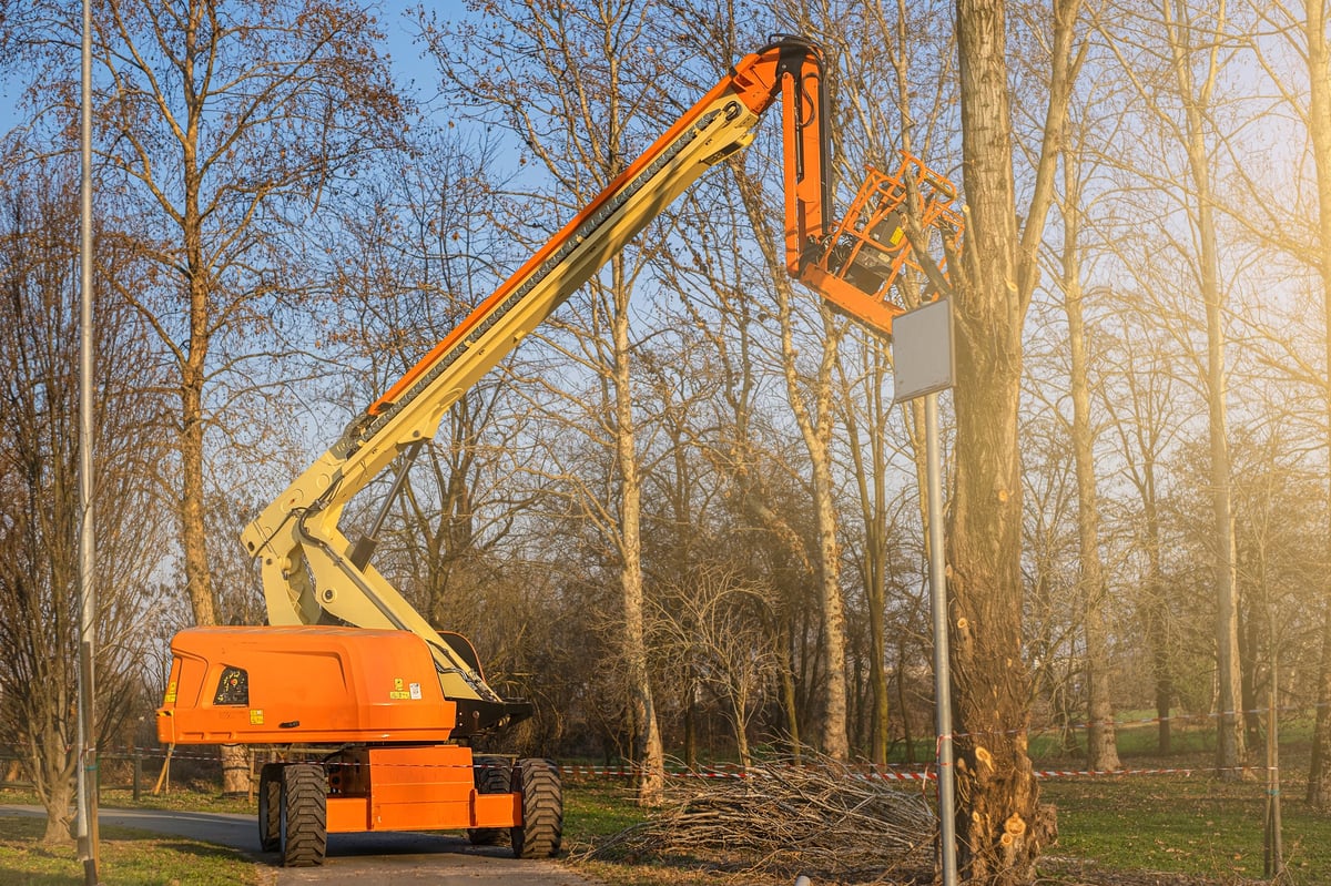 Seasonal tree pruning with a lifting work platform on a crane