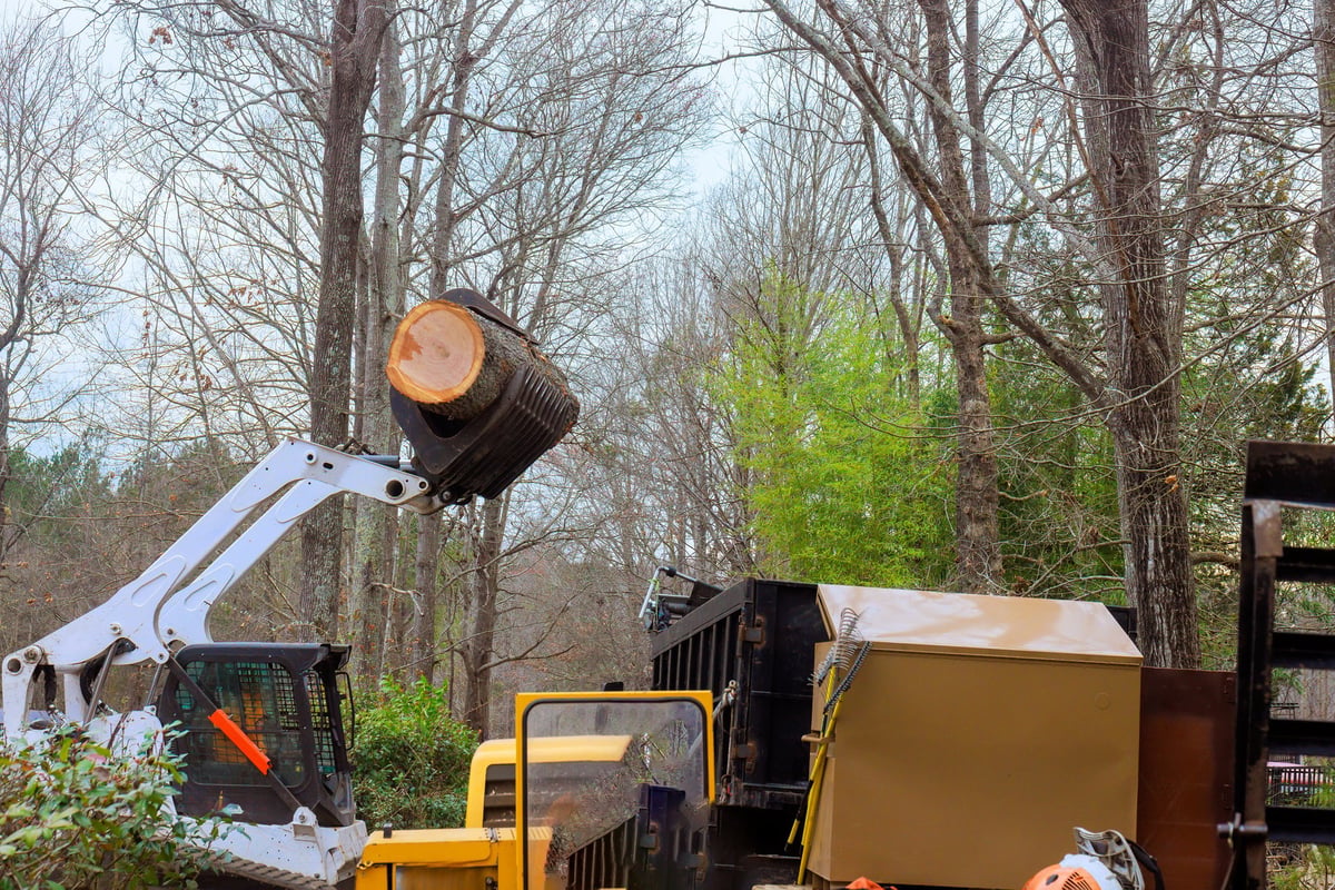 Heavy machinery lifts tree logs for removal from a residential site
