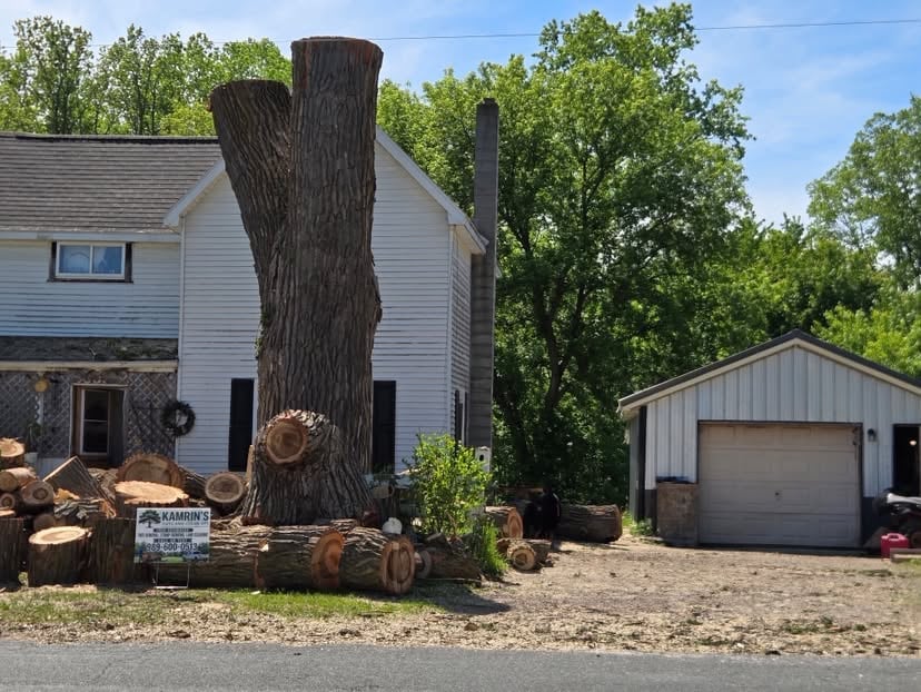 Large freshly cut tree trunk in front of white house with garage, surrounded by logs and firewood